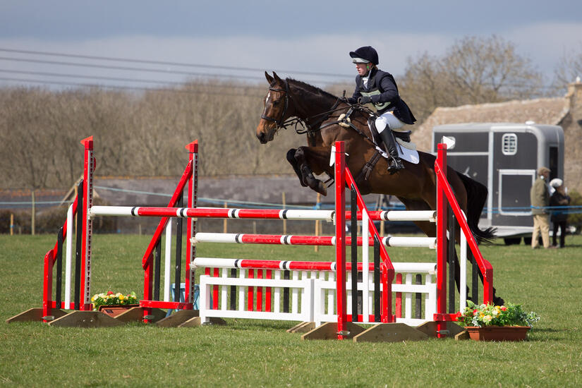 Showjumping