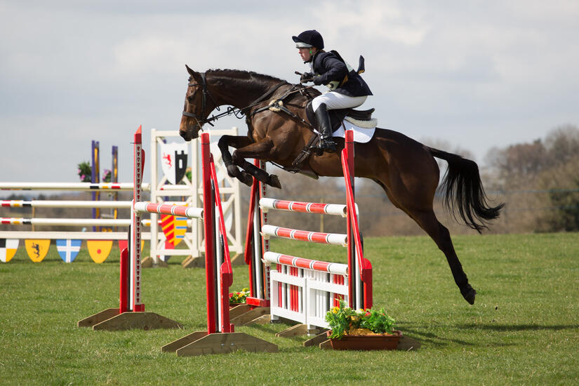 Showjumping