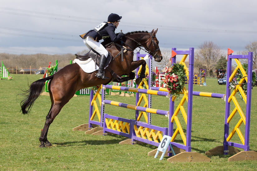 Showjumping