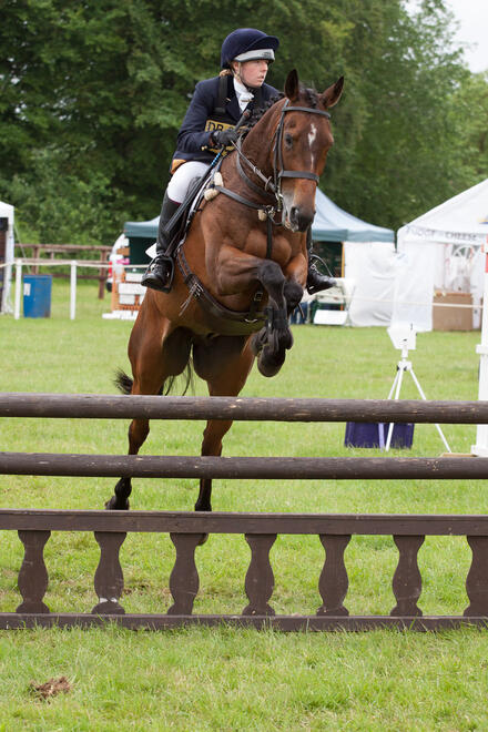 Showjumping