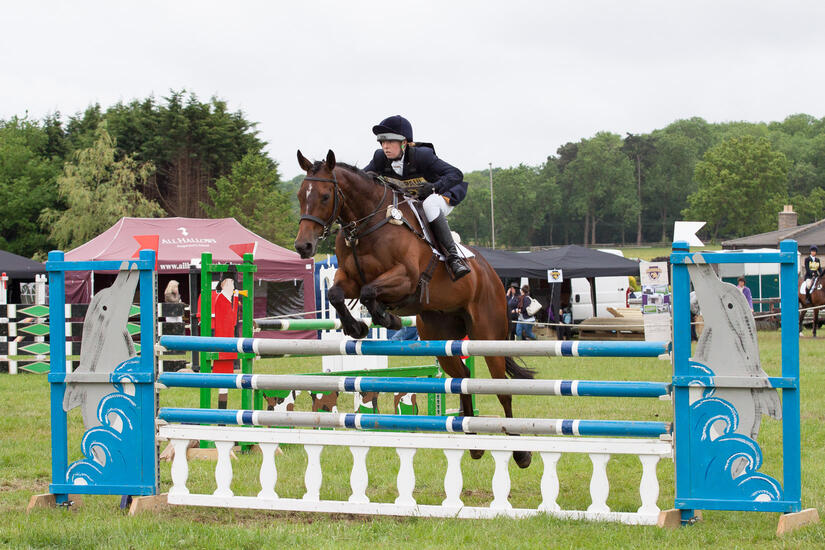 Showjumping