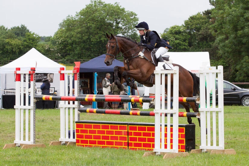 Showjumping