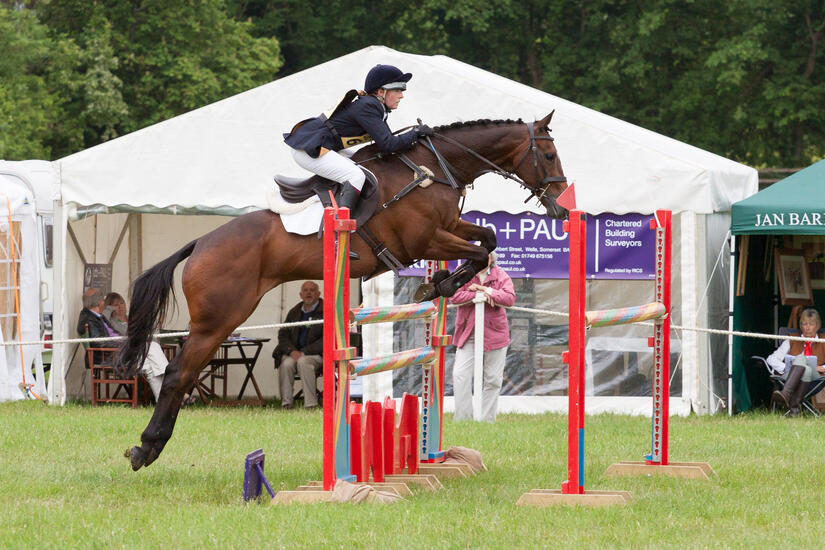 Showjumping